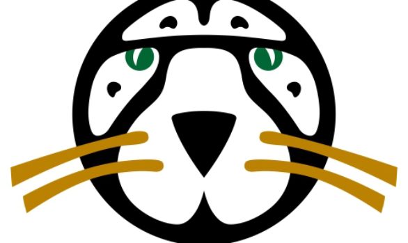 Cheetah 2 WWF